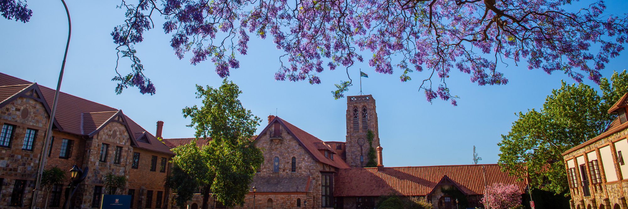 Banner DSC 8262