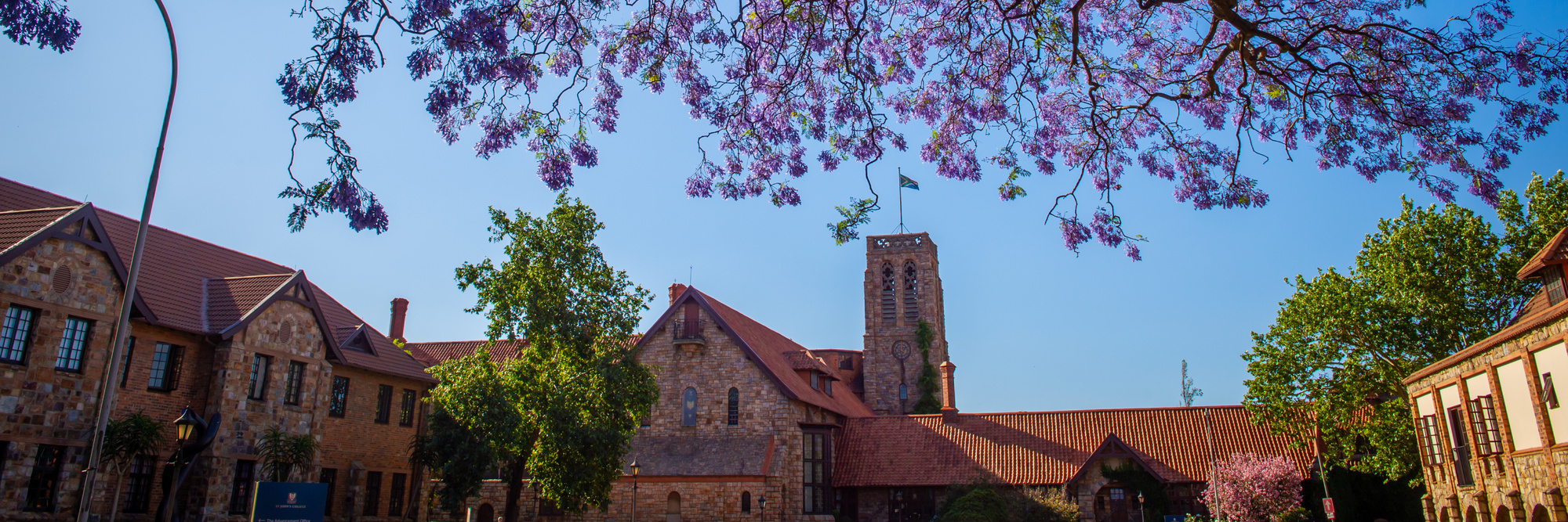 Banner DSC 8262