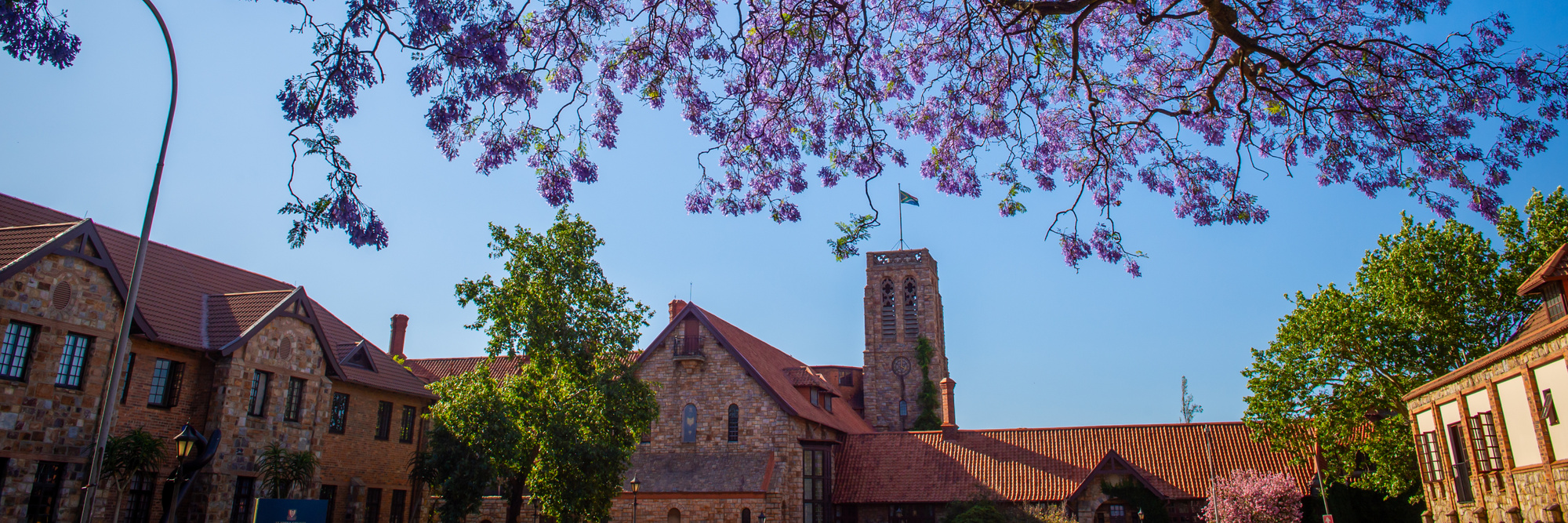 Banner DSC 8262