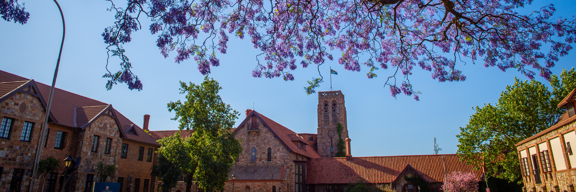Banner DSC 8262