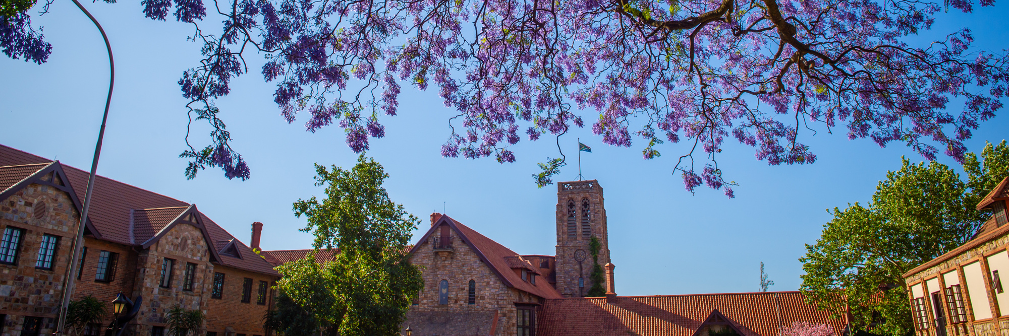 Banner DSC 8262