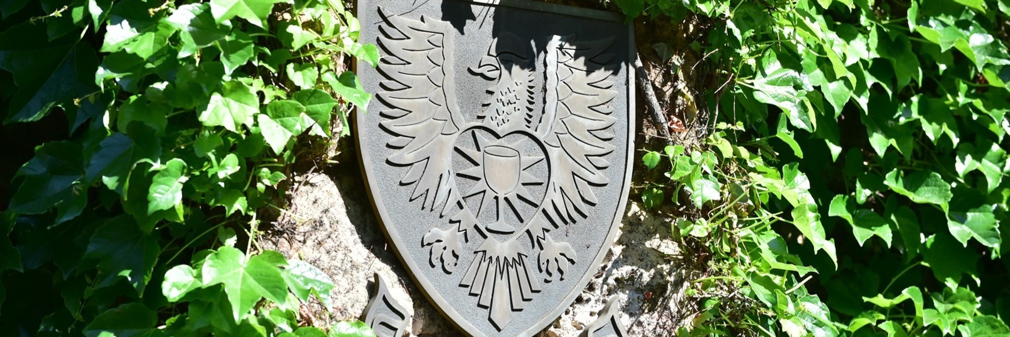 Lux Vita Caritas